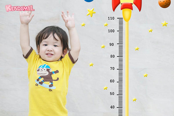 Kendamil là sữa gì